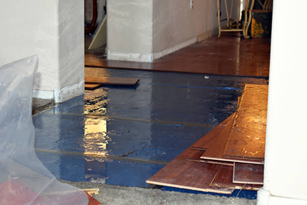 Professional Flood Cleanup technician working in Shirley, MA